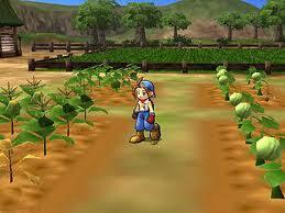 5 Tips And Trick Bermain Harvestmoon Save The Homeland .