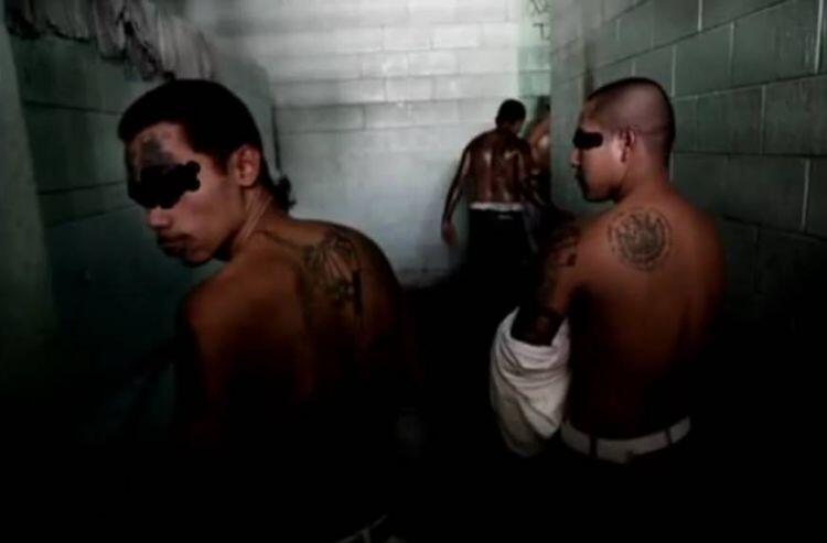 Sadisnya Geng Di Amerika Mengalahi Kejamnya Yakuza