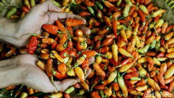 Harga Cabai Rawit Merah Makin Pedas, Dijual Rp 70.000/Kg