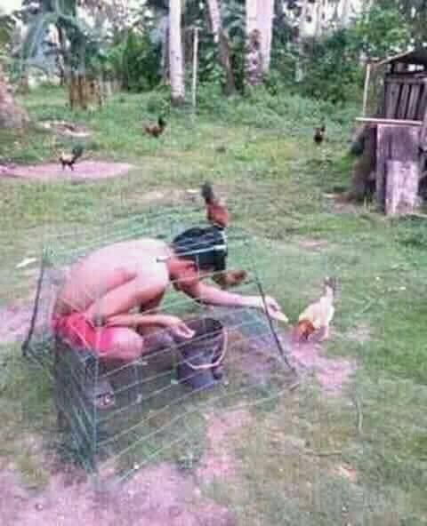 Foto Kocak Ini Menunjukkan Dunia Sudah Terbalik