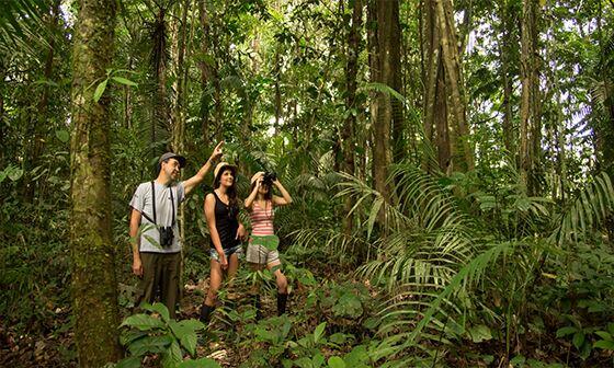 Wisata Alam Menakjubkan di Brasil, OTW Gan!