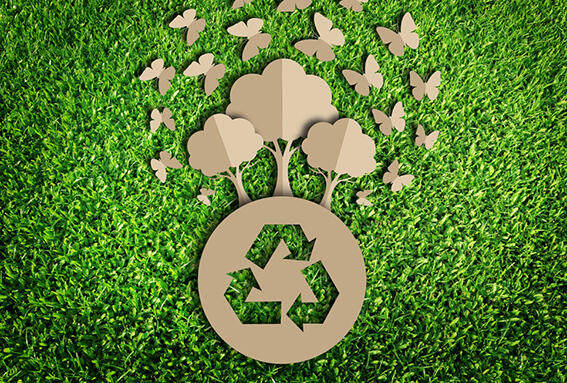 Beberapa Alasan Kenapa Kita harus Mulai Beralih ke Produk dengan Green Label!