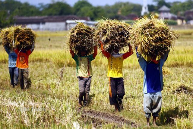 Menyusut, Serapan Lapangan Kerja di Sektor Formal