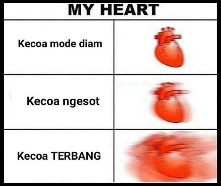 BHAAYYY KECOAK !!!! Tips Untuk Menghadang Kecoa Masuk Rumah.