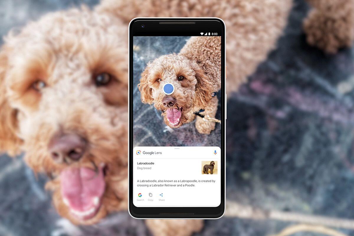 Tau Gak Manfaat Keren Kamera Smartphone Selain Buat Sekedar Foto Gan!