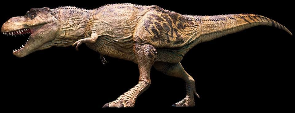 Mengenal Mosasaurus dan Tyrannosaurus rex