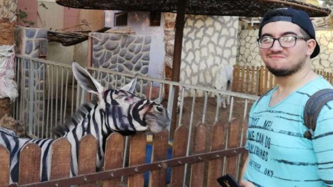 Kebun Binatang ini VIRAL Setelah KELEDAI "PALSU" Diklaim Adalah ZEBRA!