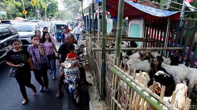 Anies Larang Penjualan Hewan Kurban di Trotoar