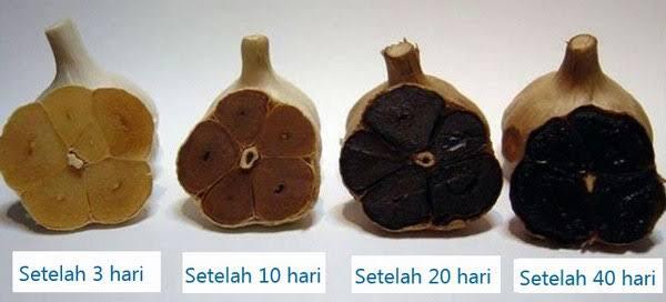 Banyak Yang Belum Tahu Ini Manfaat Bawang Hitam