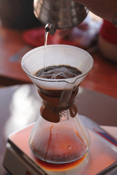 Mengenal Kopi Nusantara