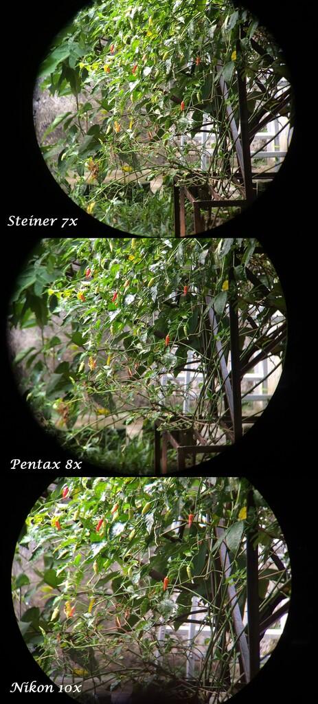 &#91;COC&#93; - Review koleksi binoculars 7×50, 8×42 dan 10×42