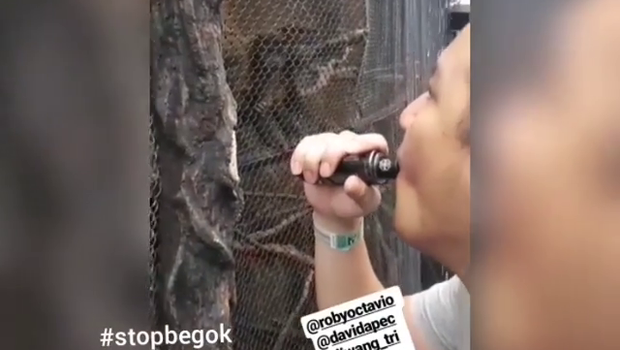 Viral! Pria Ini Menghembuskan Asap Vape Ke Momyet Di Kebun Binatang