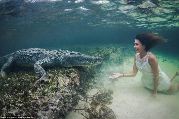 Keberanian Model Cantik Dalam Seni Fotografer &quot;Dengan Buaya&quot;