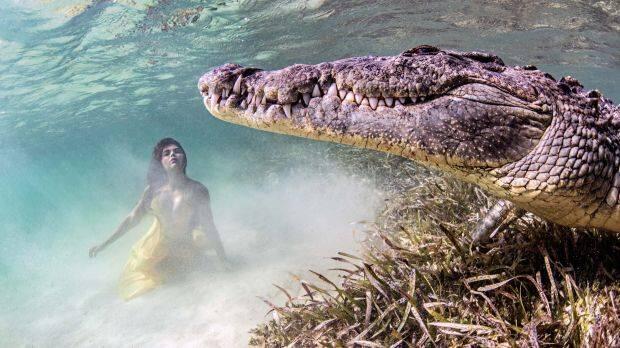 Keberanian Model Cantik Dalam Seni Fotografer &quot;Dengan Buaya&quot;