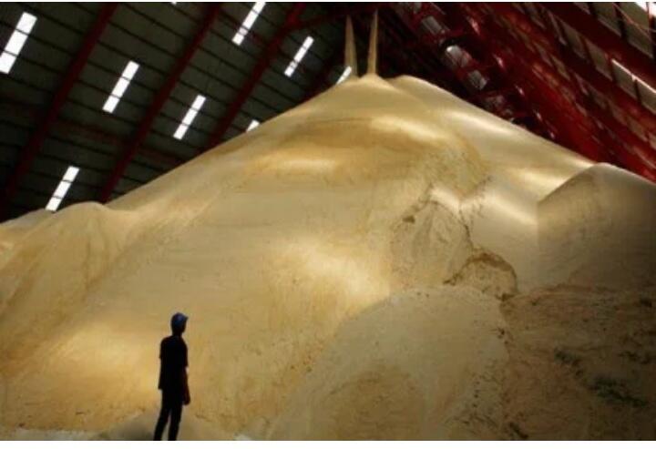 Enam Ratus Ribu Ton Gula Petani tak Laku