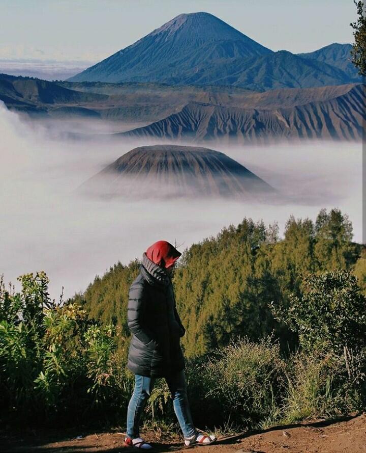Tau Gak? Agustus Adalah Salah Satu Waktu Terbaik Buat Ke Bromo Loh. Yuk Cus! 