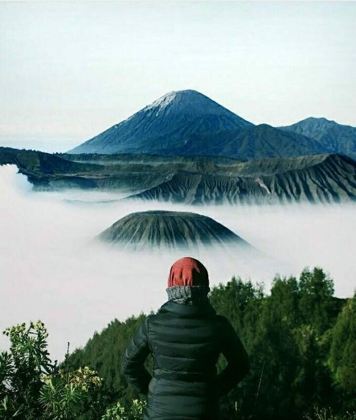 Tau Gak? Agustus Adalah Salah Satu Waktu Terbaik Buat Ke Bromo Loh. Yuk Cus! 