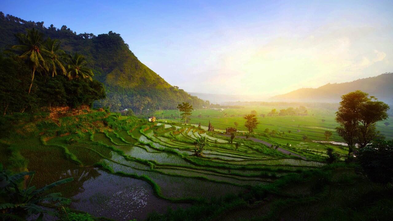 Mau Liburan Hemat di Bali? Yuk Intip Tipsnya Gan!