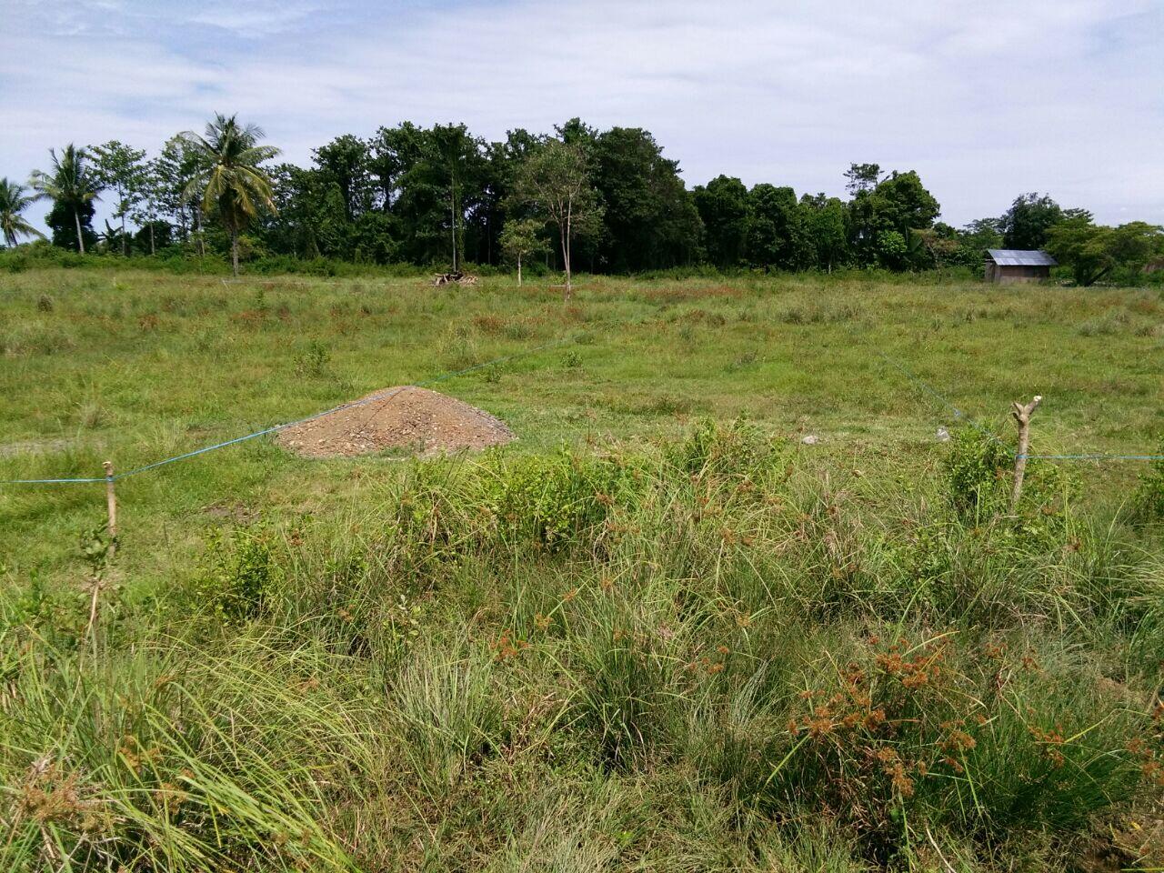 Kerja sama di properti sistem bagi hasil