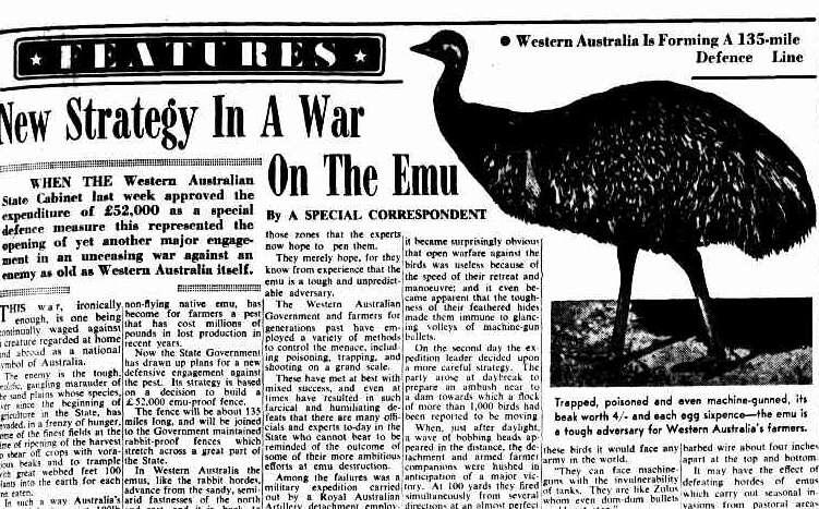 MEMALUKAN ! Militer Australia "PERANG LAWAN 20.000 Ekor BURUNG" dan KALAH!