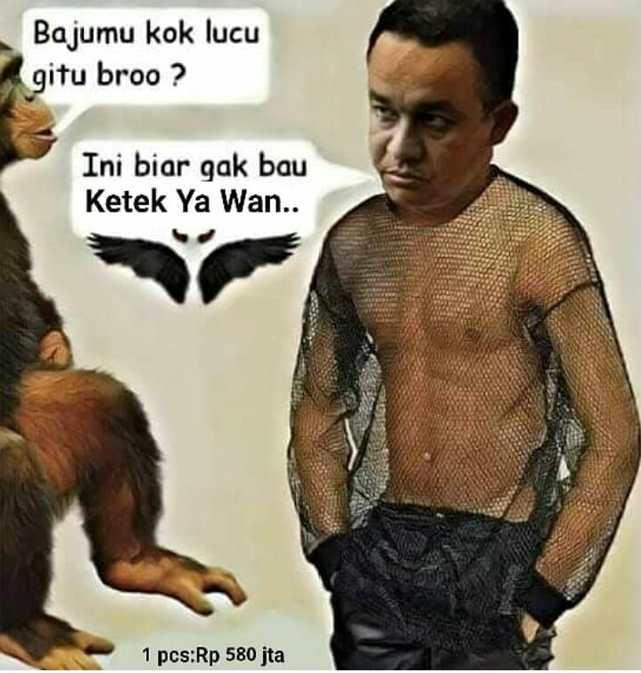 Gubernur DKI Beberkan Alasan Pemasangan Kain Waring di Kali Item