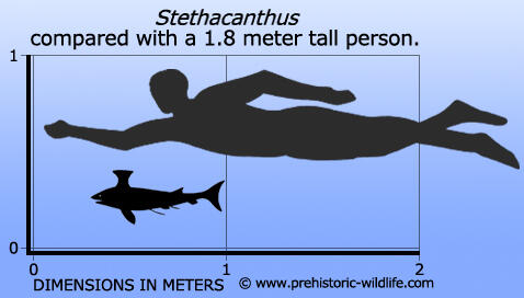 Merajalelanya Ikan di Seluruh Penjuru Perairan - Part 4: Devonian