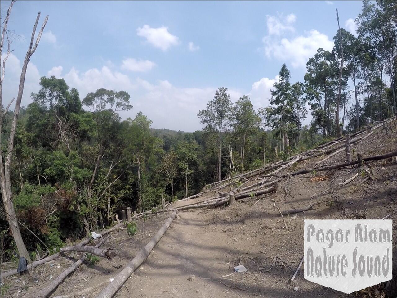 Ini Dia..!! Air Terjun Tercantik Seantero Sumatera: Curup Maung