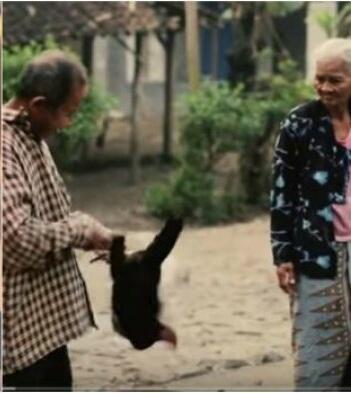 Ibunya Sering Dihina Orang Karena Jualan Ayam Kampung 