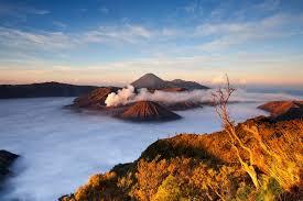 Cari Tau Waktu Yang Pas Buat Nikmatin Sunrise Di Bromo