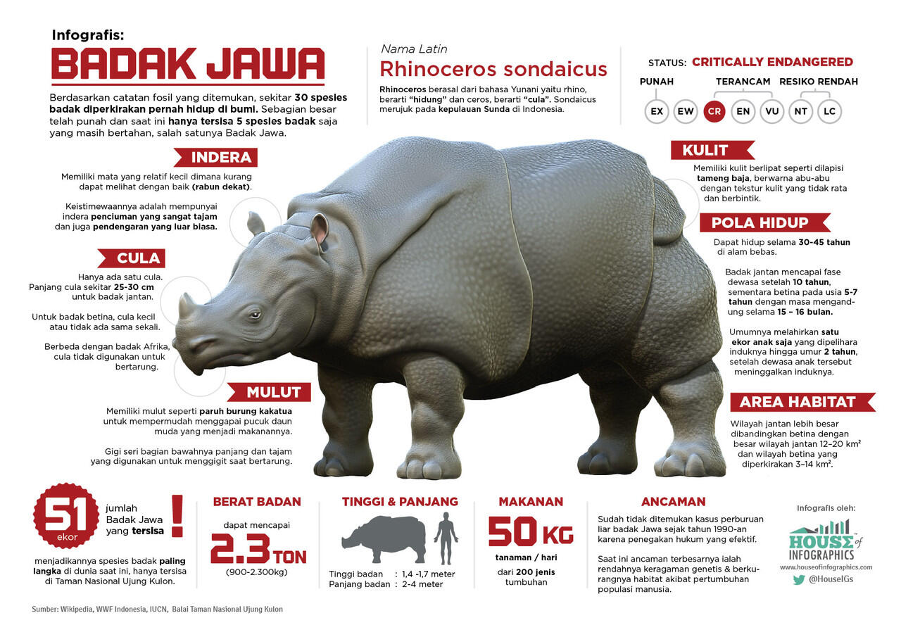  &quot;Badak jawa, atau badak bercula-satu kecil (Rhinoceros sondaicus)&quot;