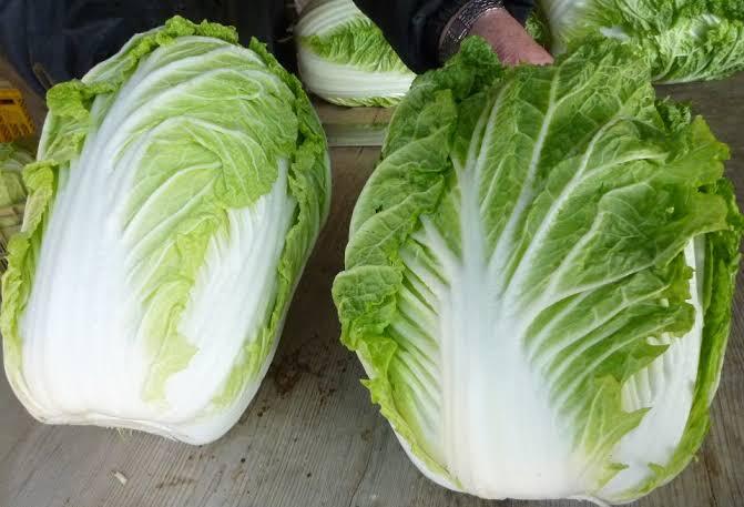 Berbisnis Sayur &amp; Buah yang Menguntungkan