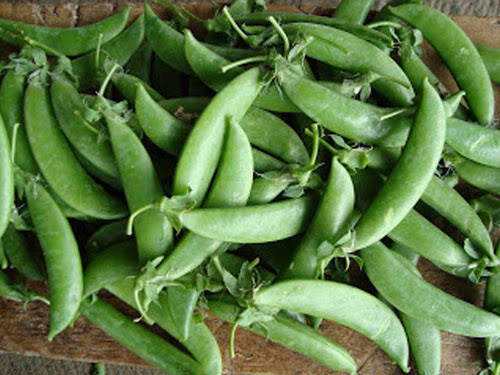 Berbisnis Sayur &amp; Buah yang Menguntungkan