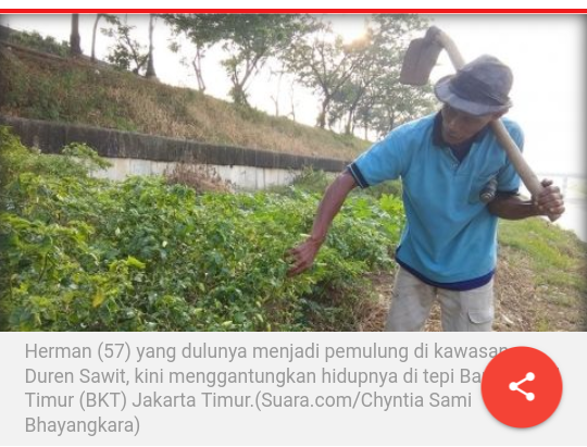 Dibanding Ahok, Petani BKT Lebih Tenang Diawasi Anies - Sandiaga
