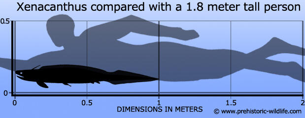 Merajalelanya Ikan di Seluruh Penjuru Perairan - Part 4: Devonian