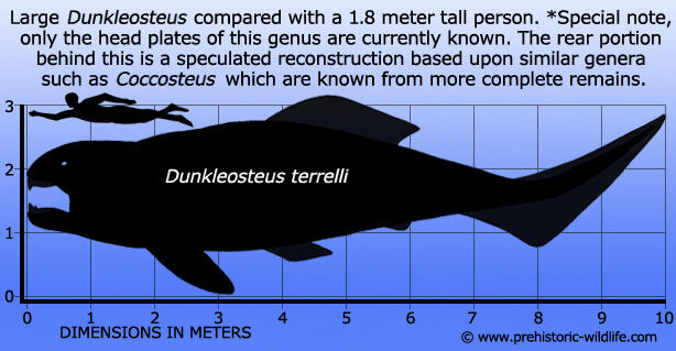 Merajalelanya Ikan di Seluruh Penjuru Perairan - Part 4: Devonian