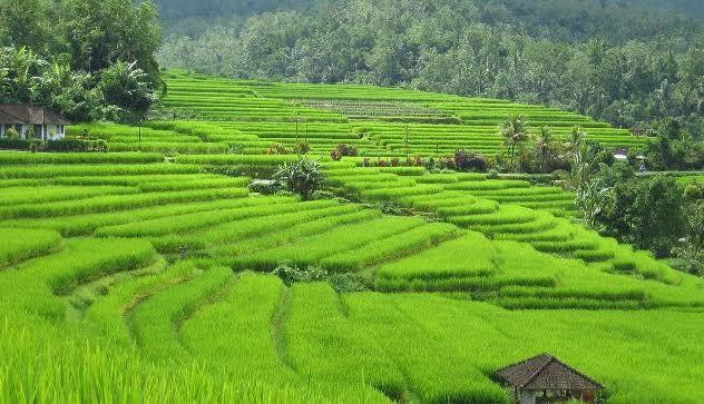 #IniIndonesiaku Hal-hal terbaik cuma ada di Indonesia