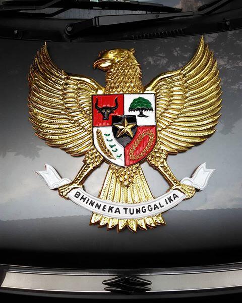 Ketika Sang Garuda Muda Terbang Tinggi Dan Semakin Tinggi #IniIndonesiaku