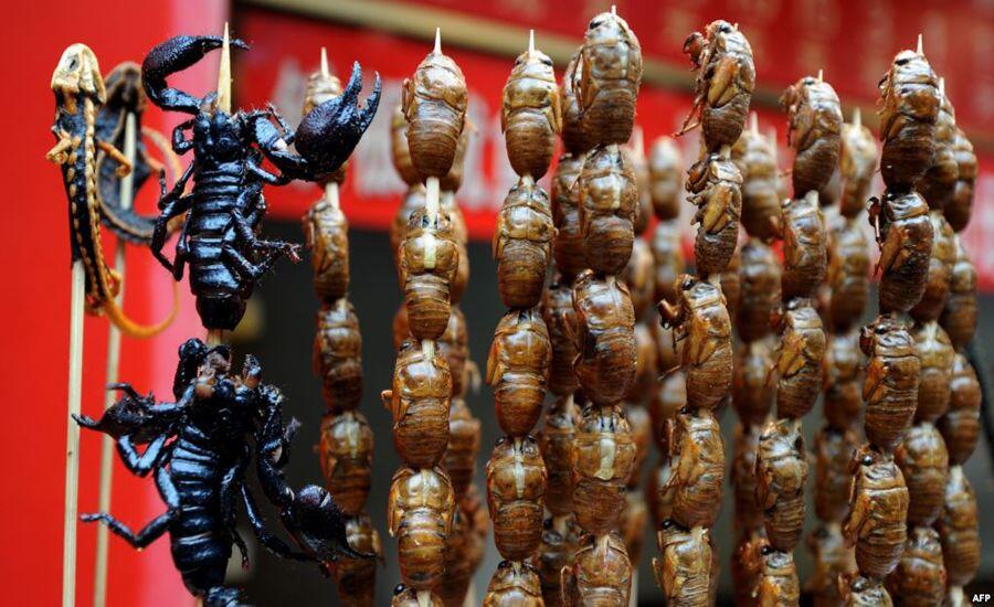 7 Makanan Khas dari Tiongkok yang Anti-mainstream, Berani Coba?