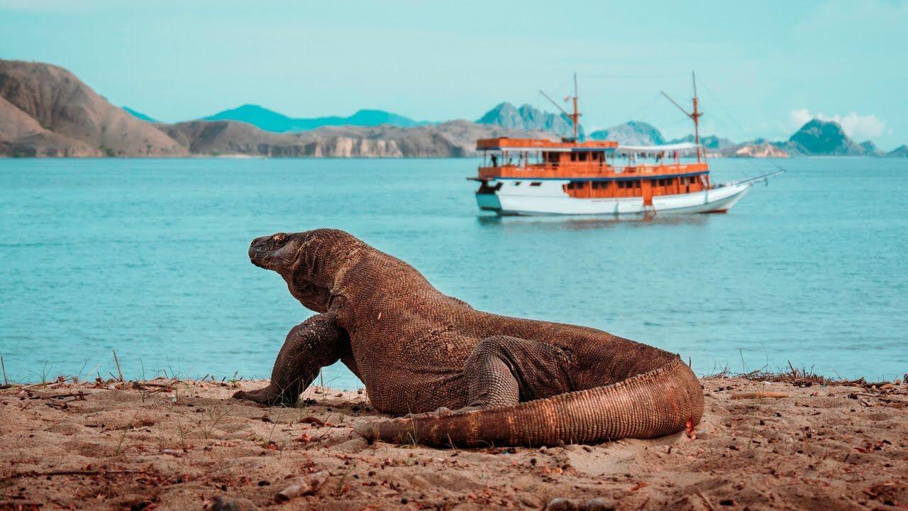 Gili Lawa Ditutup, Ini 7 Wisata Favorit di Taman Nasional Pulau Komodo
