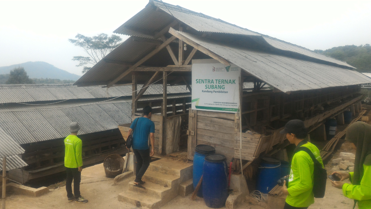 Berkunjung Ke Perkebunan Dan Peternakan Dompet Dhuafa