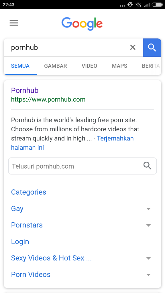Situs Porno Hilang Di Google