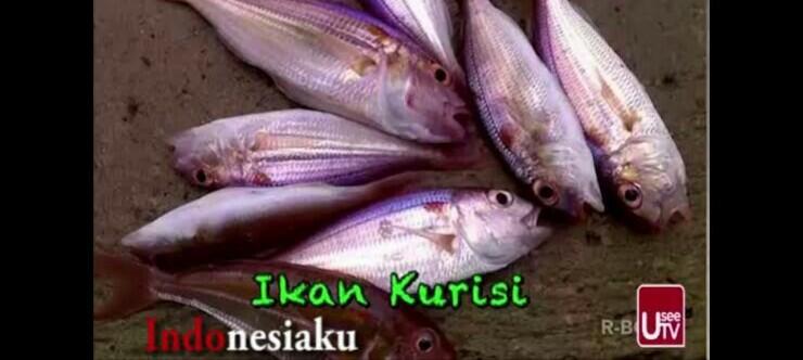 Anak-Anak Susah Makan Ikan, Buah, dan Sayur !! Yuk Coba Olahan Ini...