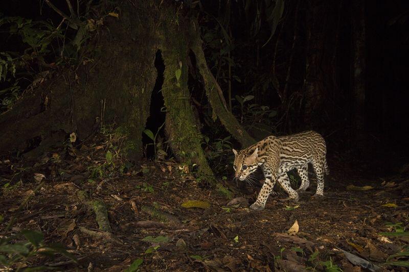 Keren, 11 Foto Hasil Kompetisi British Ecological Society Photography!