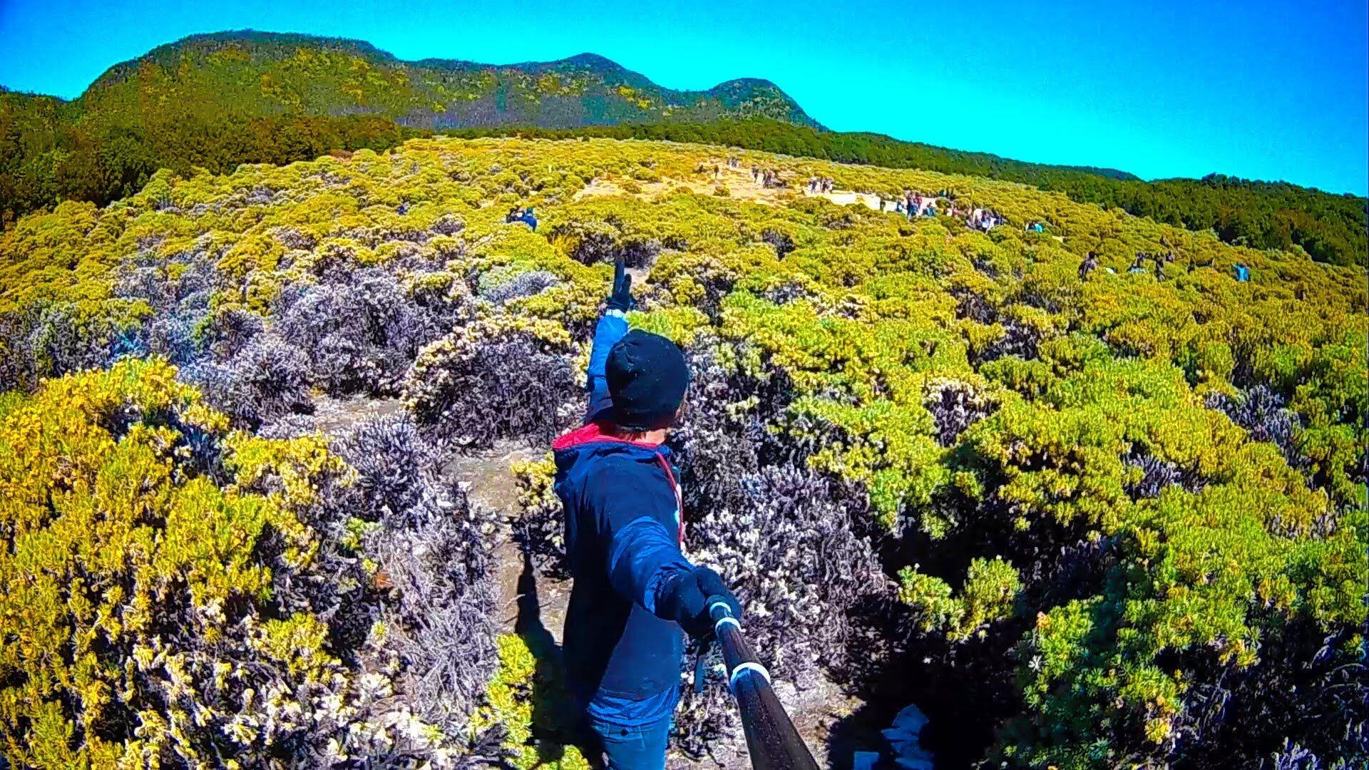 18 Gunung Paling Indah di Pulau Jawa, bak Kepingan Surga Dunia