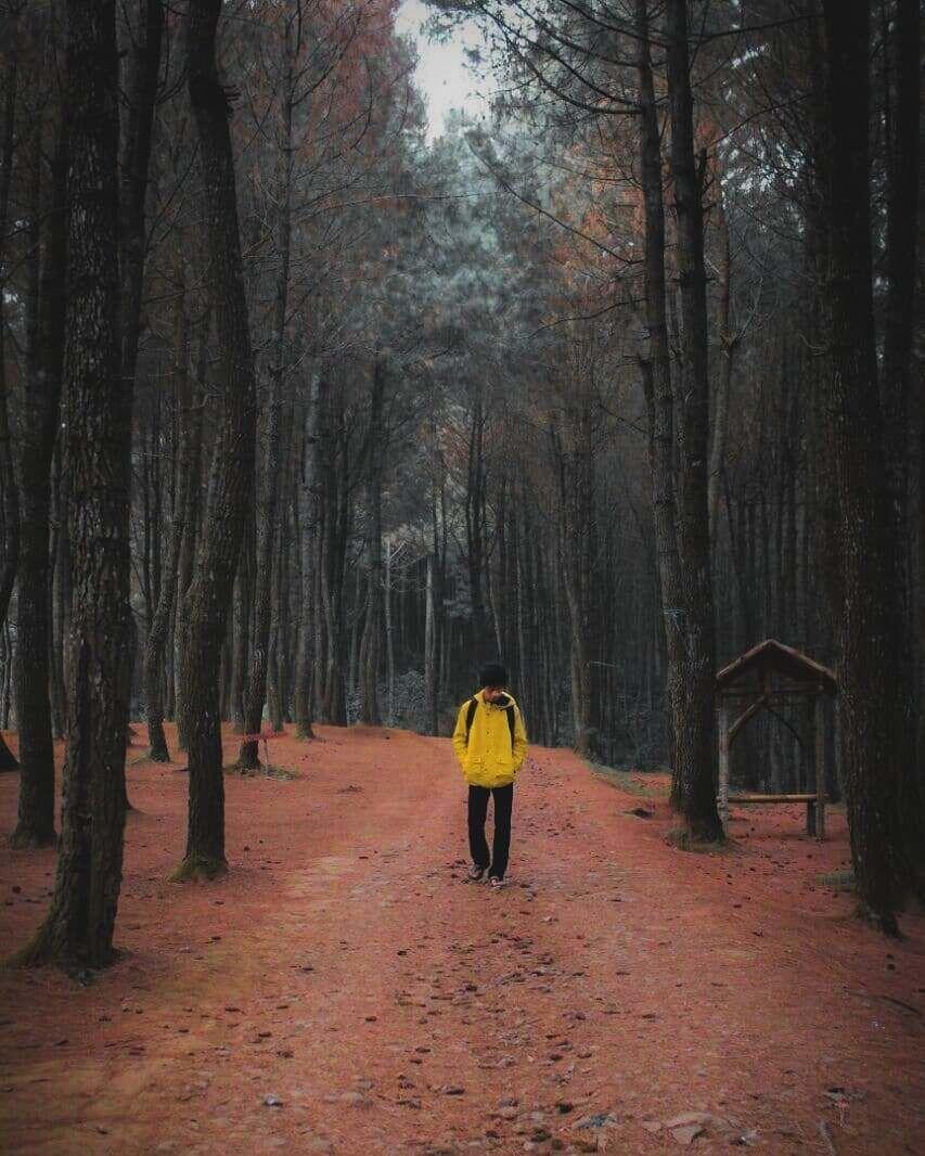 20 Tempat Wisata di Bandung 2018 yang Kekinian buat Kamu Kunjungi!