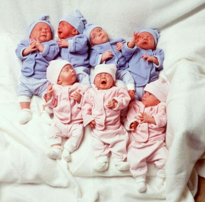Pertama di Dunia, Begini Kabar Bayi Kembar 7 Setelah Mereka Dewasa, GOKS BRO !!!