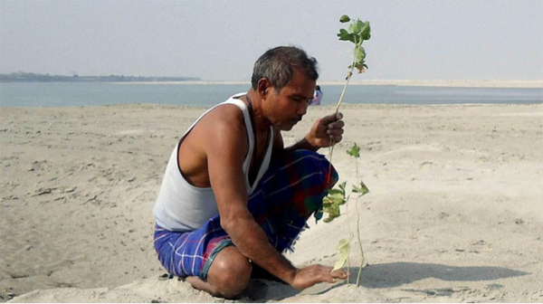 40 tahun yang lalu menanam pohon, hasilnya baru kerasa sekarang. Keren sih ini.