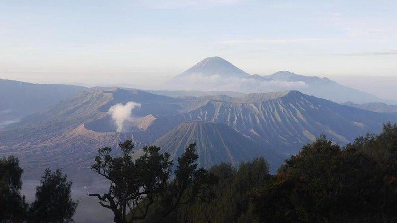 Gak Cuma Dieng, Ini 4 Fakta tentang Fenomena Es di Bromo