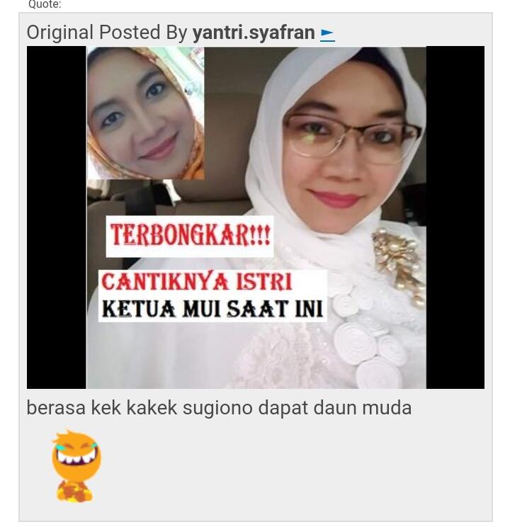 Ketum PPP: Ma'ruf Amin Bisa Redam Isu Kebencian dan SARA