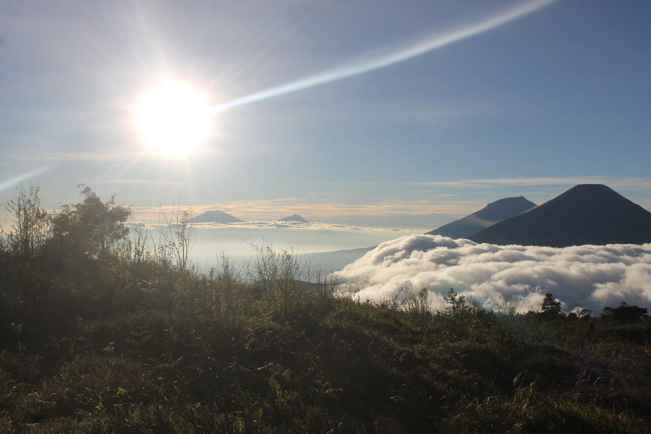 Nganu (Anu), Satu Kata Sejuta Makna